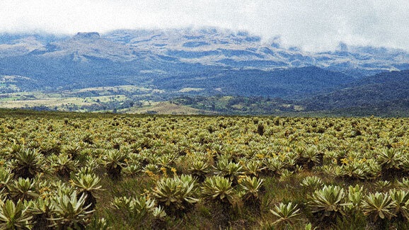 Plateau with mountains