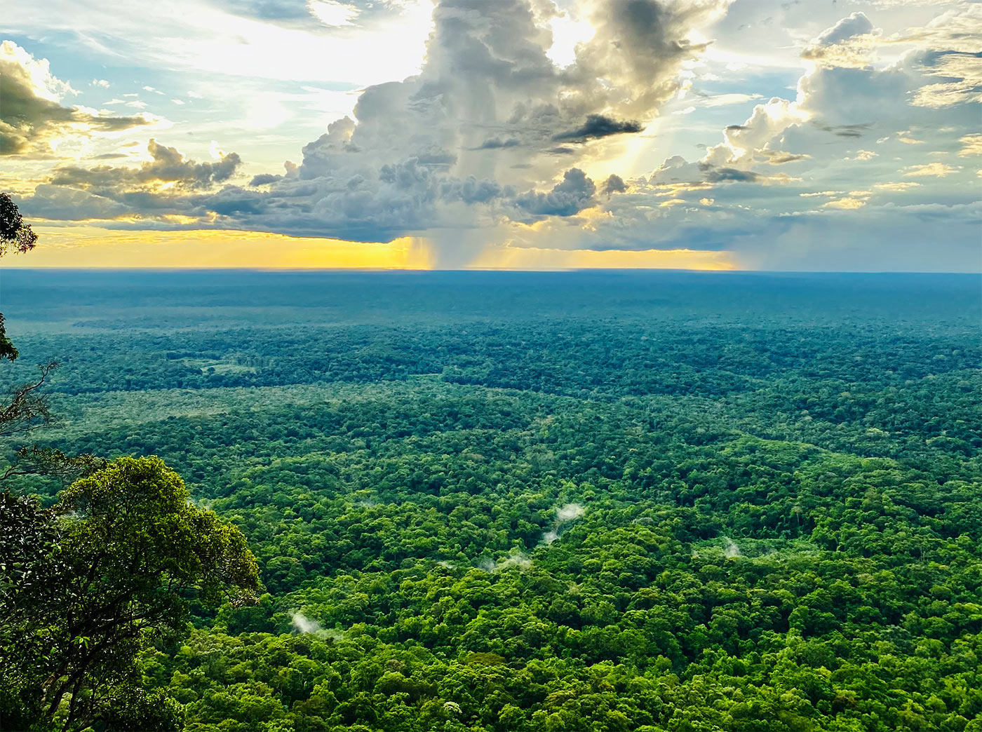 Impressive jungle landscape in Colombia