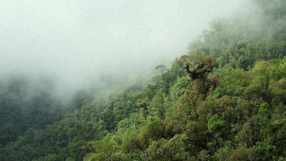 Low hanging clouds over the colombian rain forest